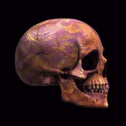 GraveX #5804