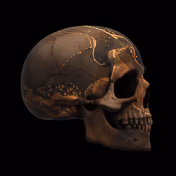GraveX #4237