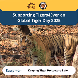 Global Tiger Day 2025 #3