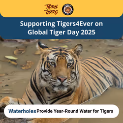 Global Tiger Day 2025 #10