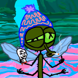 262