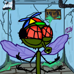 36