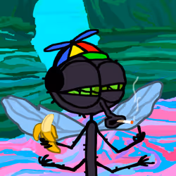 204