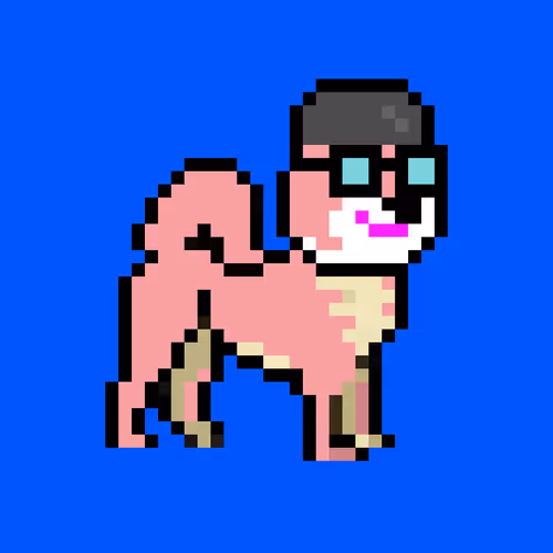 Kennel Doge Punks