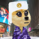 764