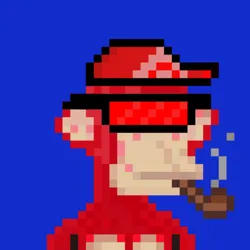 Monks on Ape #498