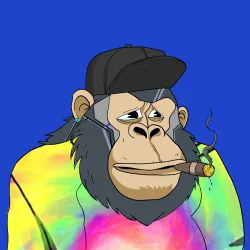 Gorilla #8684