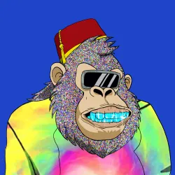 Gorilla #8013