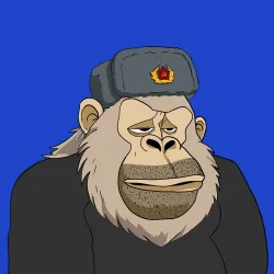 Gorilla #1020