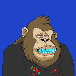 Gorilla #4505
