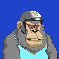 Gorilla #5370