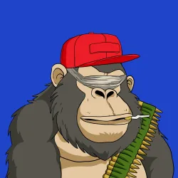 Gorilla #8515
