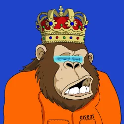 Gorilla #1631