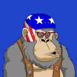 Gorilla #5593
