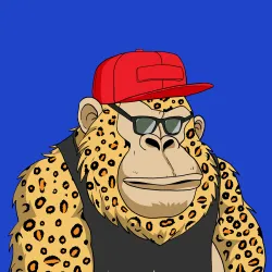 Gorilla #6658