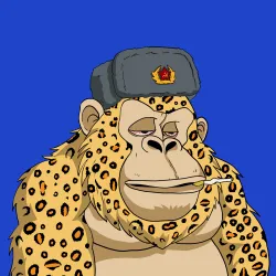 Gorilla #5253