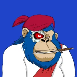 Gorilla #4493