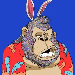 Gorilla #2996
