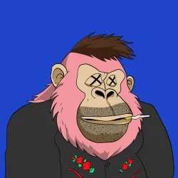 Gorilla #2837