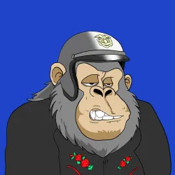 Gorilla #2835