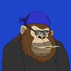 Gorilla #3325