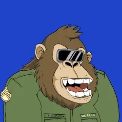 Gorilla #4511