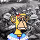 101
