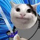 472