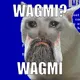 479