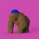 1691
