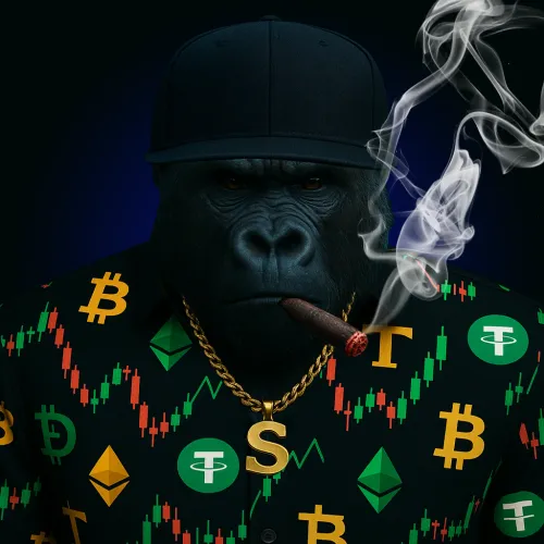 Item #341 Media
