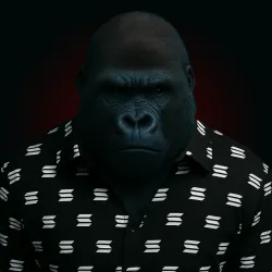 305