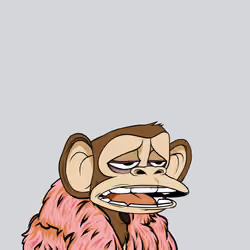 2728