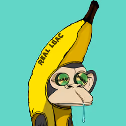 464