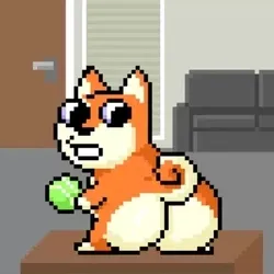 Doggy On Ape #294