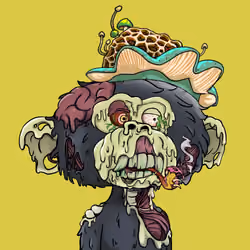 Mutant Jimmy #1373