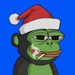 256