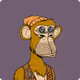 Ape Fighter