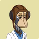 Ape Fighter