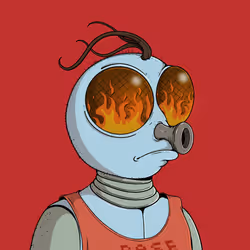 6055