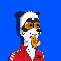 DYO0R #293