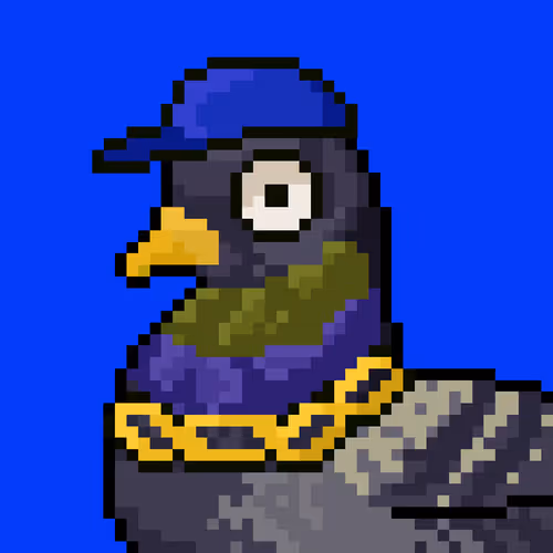 ApePigeons
