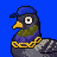 ApePigeons