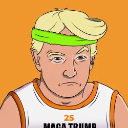 Make Ape Great Again #370