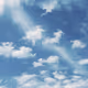 663