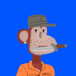 816
