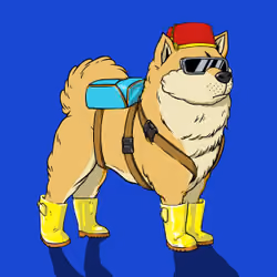 Kennel on Ape #5838
