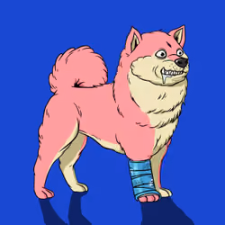Kennel on Ape #3380