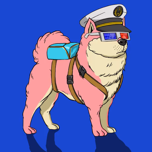Kennel on Ape #6116