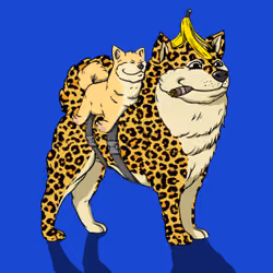 Kennel on Ape #4904